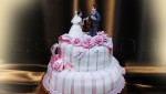 Свадебный торт бело-розовый двухъярусный